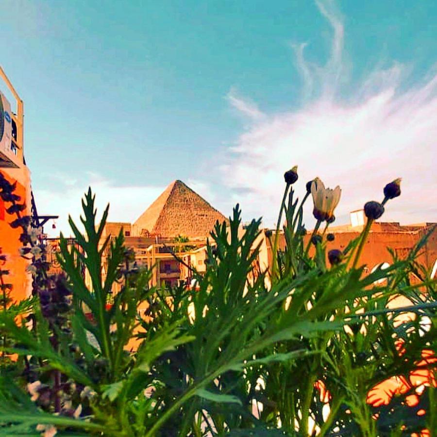 فندق Carpet Alaadein Pyramids View Kafret el-Gabal المظهر الخارجي الصورة