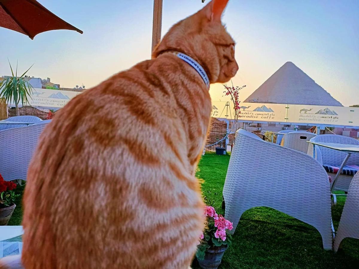 فندق Carpet Alaadein Pyramids View Kafret el-Gabal المظهر الخارجي الصورة